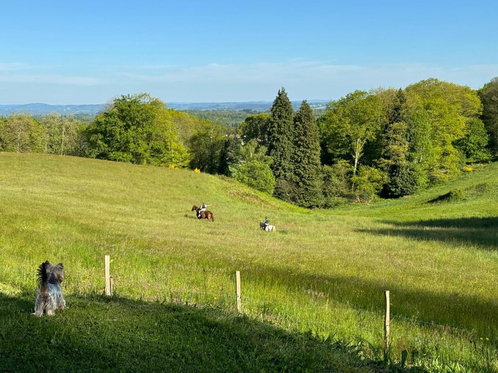 Domaine De Montmery Sa Piscine Son Jardin Ses Espaces アンバザック エクステリア 写真