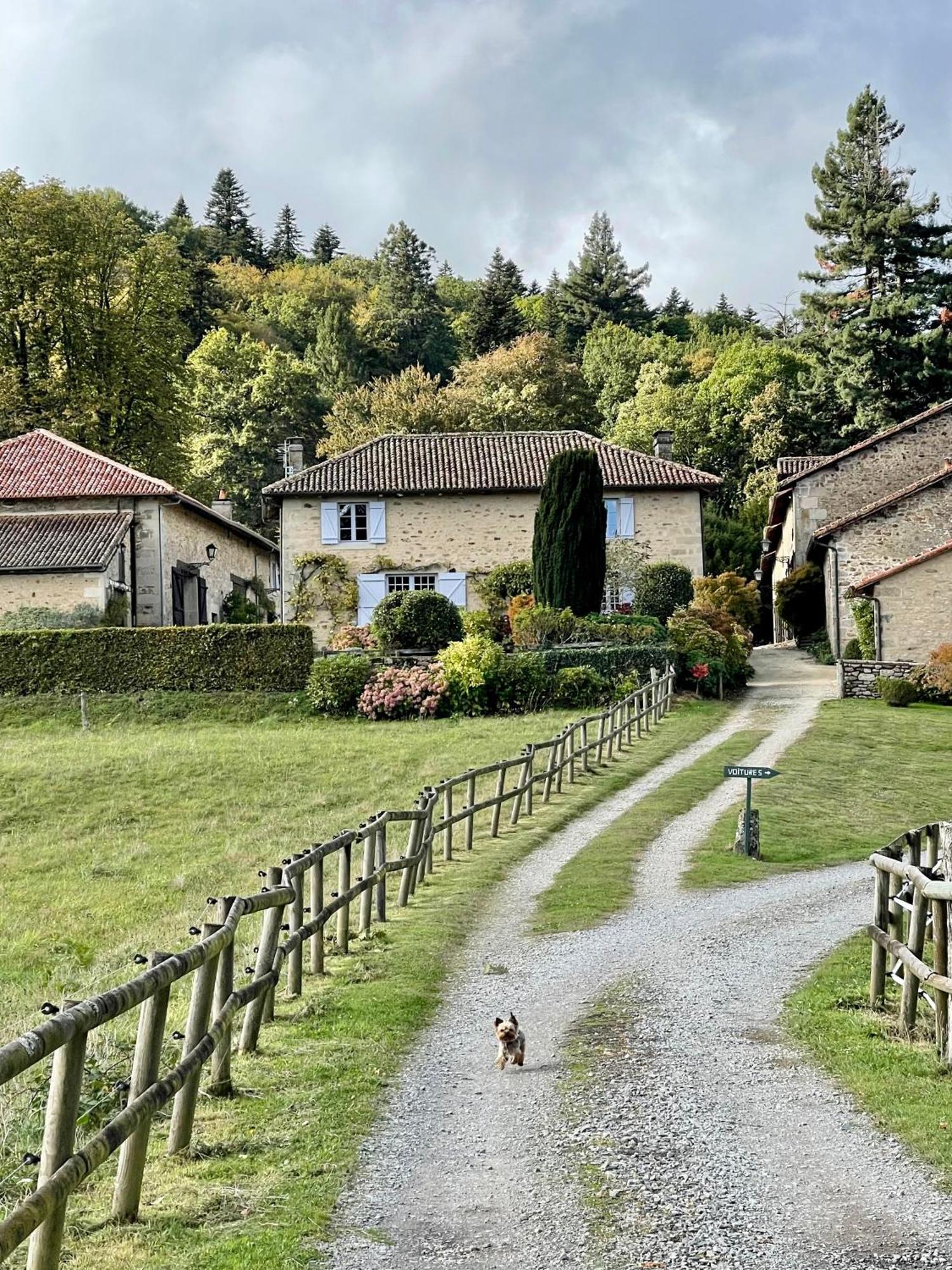 Domaine De Montmery Sa Piscine Son Jardin Ses Espaces アンバザック エクステリア 写真