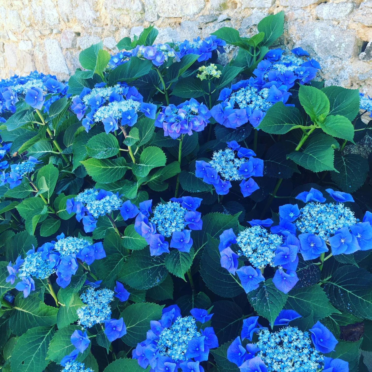 Domaine De Montmery Sa Piscine Son Jardin Ses Espaces アンバザック エクステリア 写真