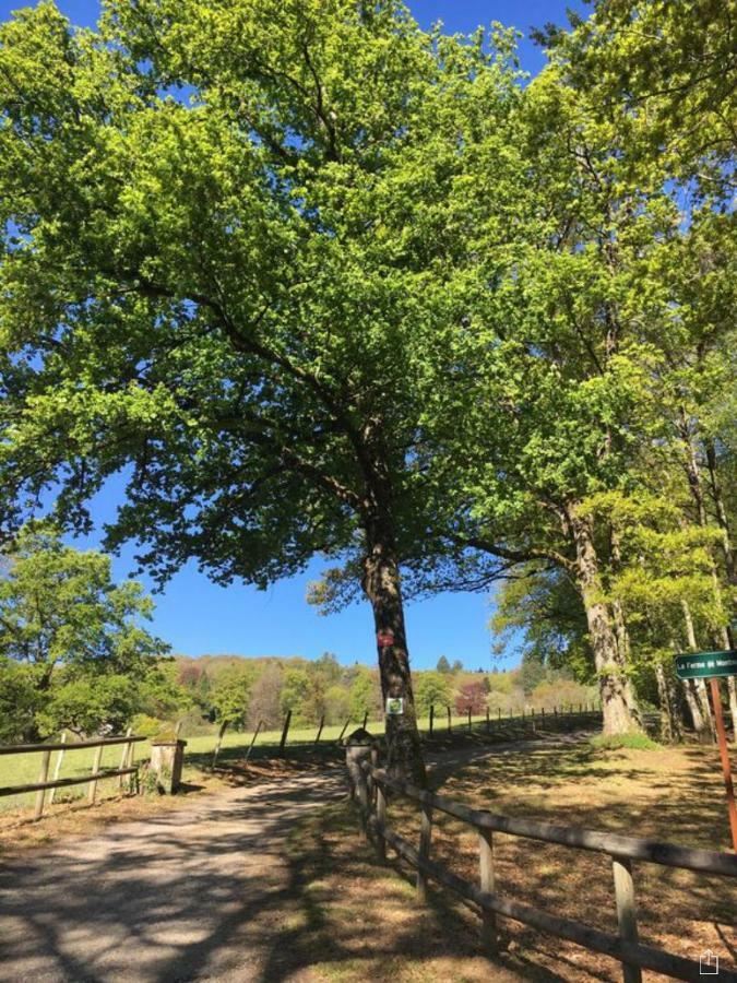 Domaine De Montmery Sa Piscine Son Jardin Ses Espaces アンバザック エクステリア 写真